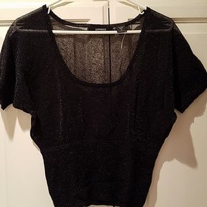 Express sheer shimmering top